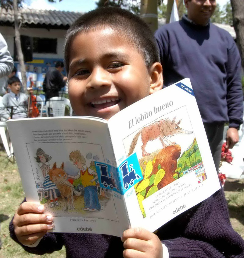 Niño leyendo un libro