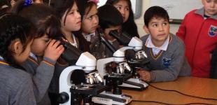 niños y niñas aprenden con microscopios