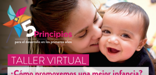 Afiche promocional taller virtual 5 Principios 25 de junio