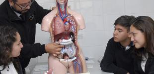 La imagen muestra un profesor explicando a un grupo de estudiantes con una maqueta del cuerpo humano 