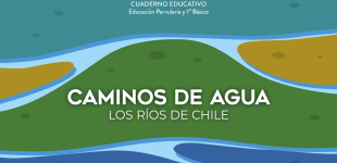 Caminos de agua. Los ríos de Chile. Cuaderno educativo educación parvularia y 1° básico