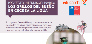 Proyecto interdisciplinario: Los grillos del sueño en CECREA La Ligua