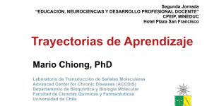 Trayectorias de aprendizaje