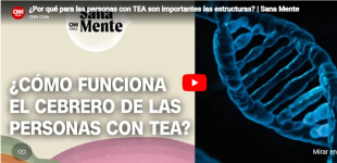 Desarrollo de cerebro TEA