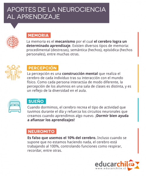 Infografía aportes de la neurociencia al aprendizaje.